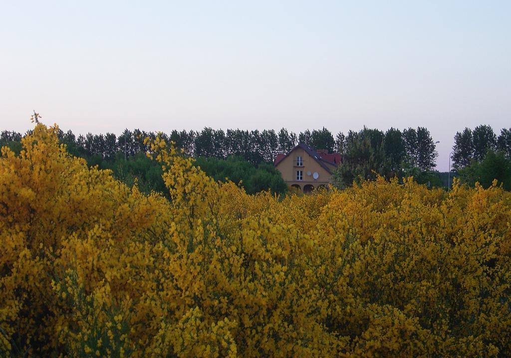 Ferienwohnung Arkady Słupsk Exterior foto